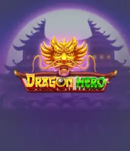 Войдите в мифическое приключение с Dragon Hero от Pragmatic Play, демонстрирующей яркую визуализацию древних драконов и эпических столкновений. Откройте царство, где магия встречается с триллом, с символами вроде зачарованных оружий, мистических существ и сокровищ для триллерного игрового опыта.